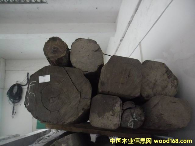 ����կ��֦��Ԕ����B