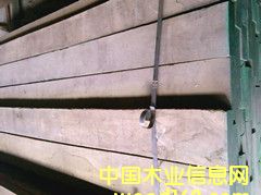 �����ں��ҵ�Ԕ����B