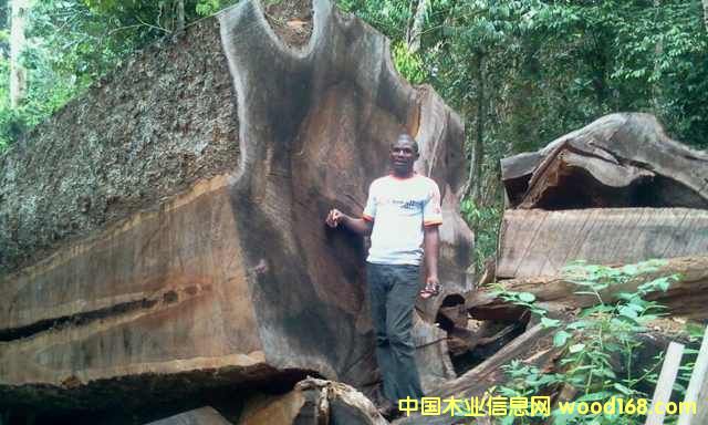 ����ľ��Ԕ����B