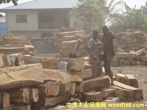 �����S�����Ԕ����B