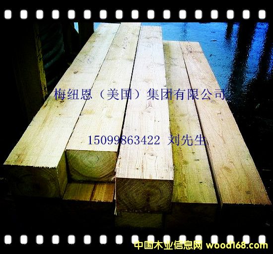 ��������ľ��Ԕ����B