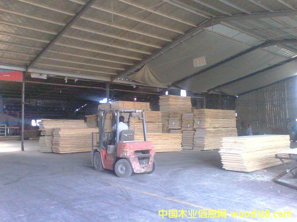 �S�^(q��)��Ԕ��(x��)��B