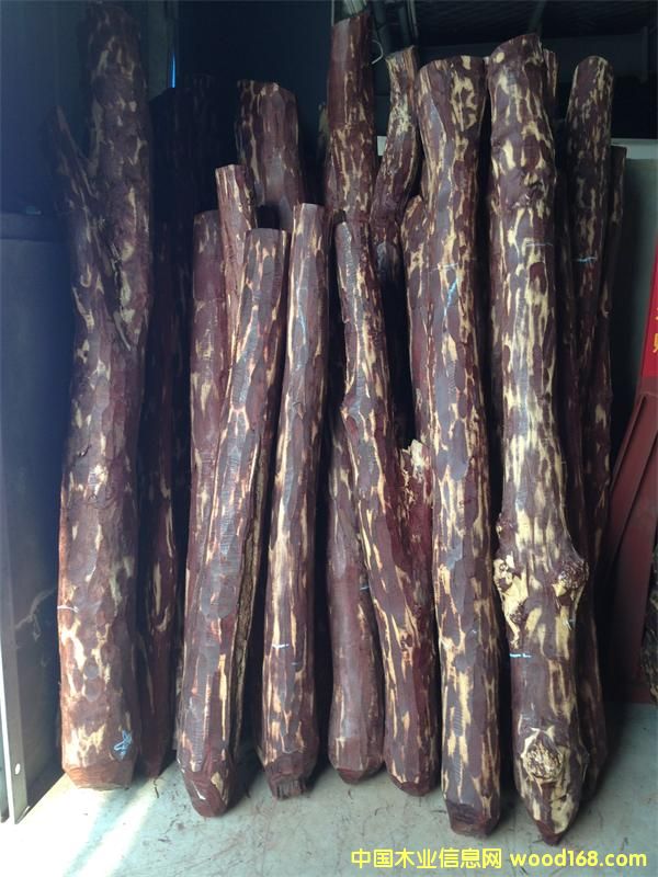 С�~��̴9��Ԕ��(x��)��B