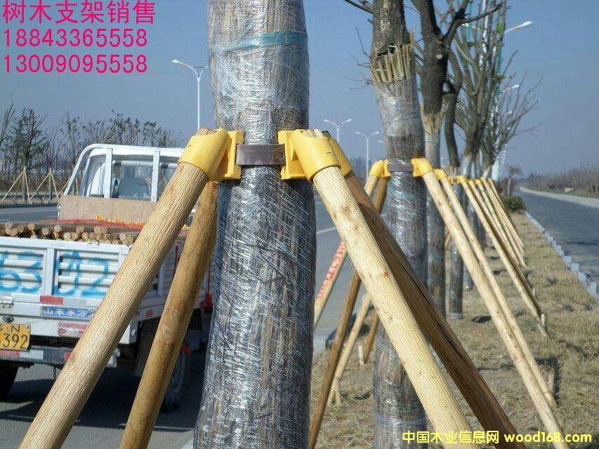 ��ľ֧�ܵ�Ԕ����B