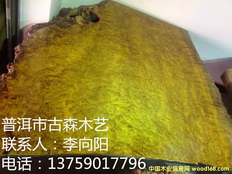 ��z�ľ������  �k����X��  ��Ԕ����B