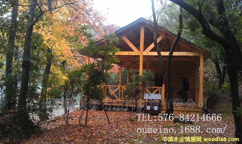 ���^ľ�ݵ�Ԕ����B