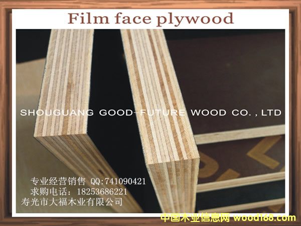 ��Ĥ���Ԕ����B