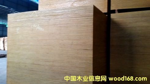 �V��һ������ģ���Ԕ����B