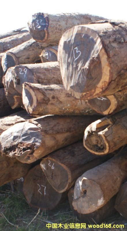 ٝ�ȁ�Ѫ̴��Ԕ����B