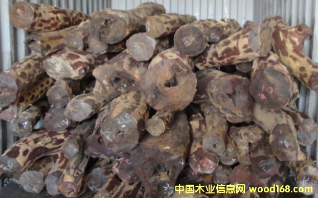 ٝ�ȁ�Ѫ̴��Ԕ����B