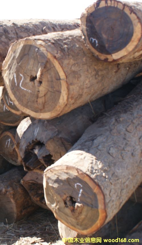 ٝ�ȁ�Ѫ̴��Ԕ����B