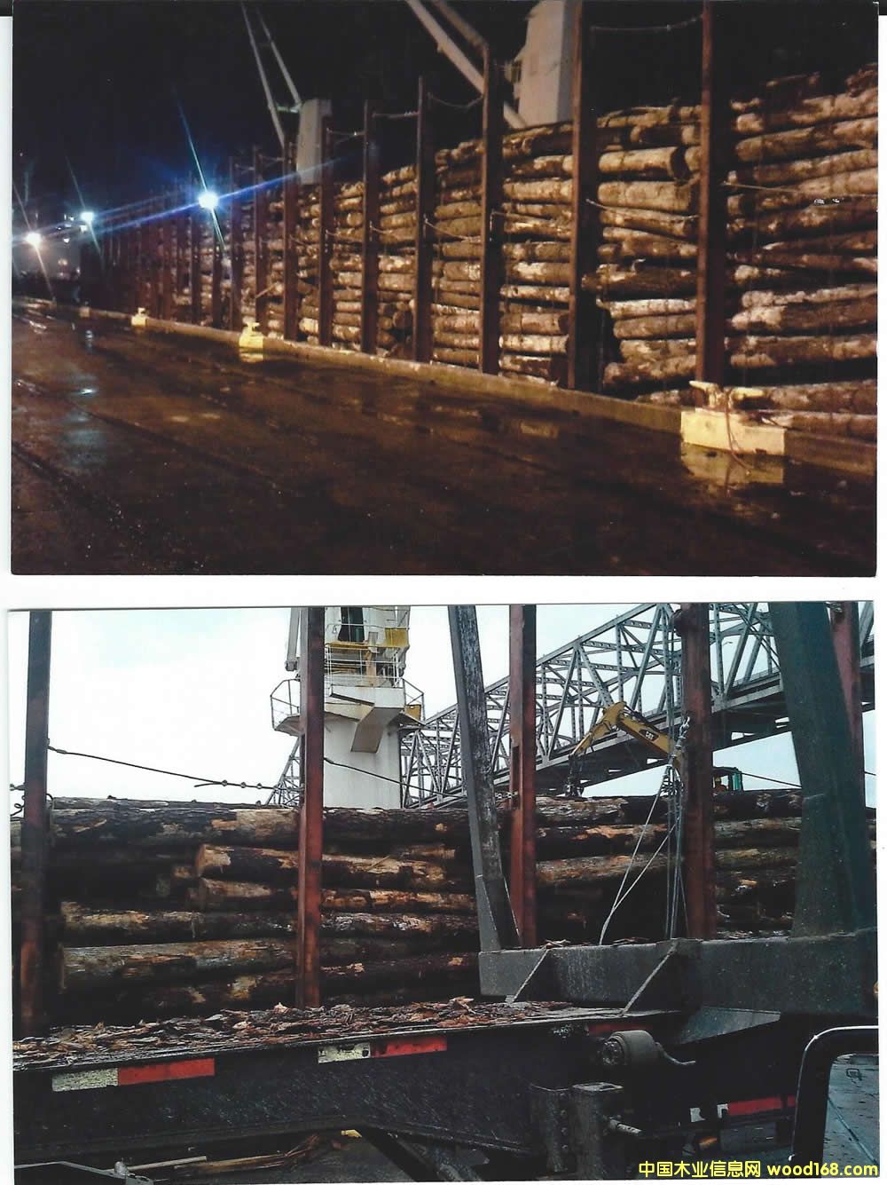 �Ϸ��� Southern Yellow Pine logs ��Ԕ����B