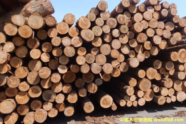 ��ɼԭľ��Ԕ����B