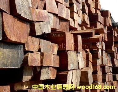 �ǄPԴľ�I�̓r�����M�� �W����ԭľ��