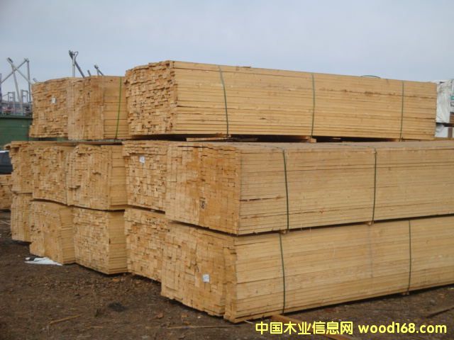 ����ľ�Ľ���ľ��