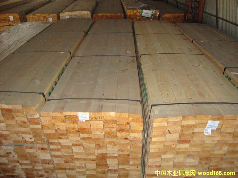 �����mݗ����