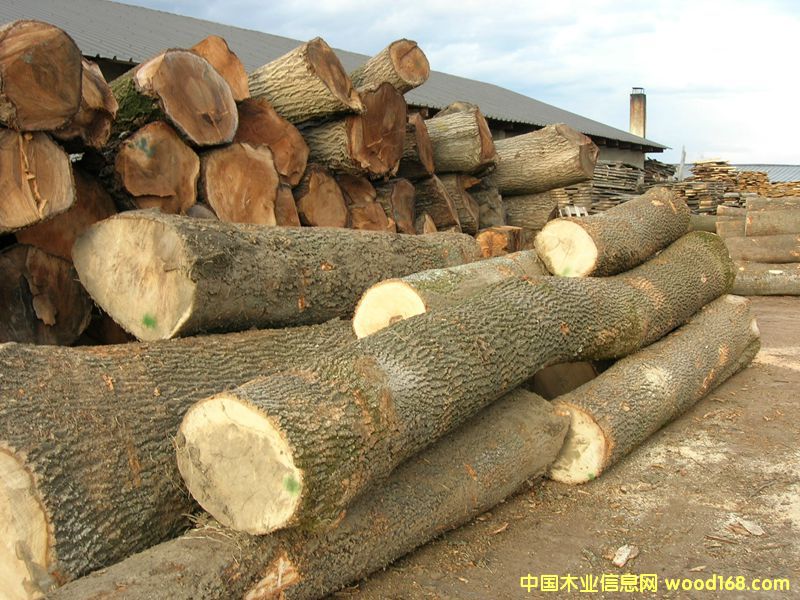 ���ڰ�Ϟľ ԭľ�����M�ڣ�