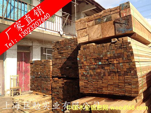 �����Fɼ�ٹ��