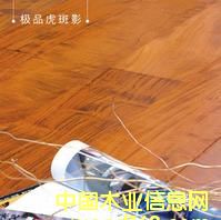 ������ľ�ذ�