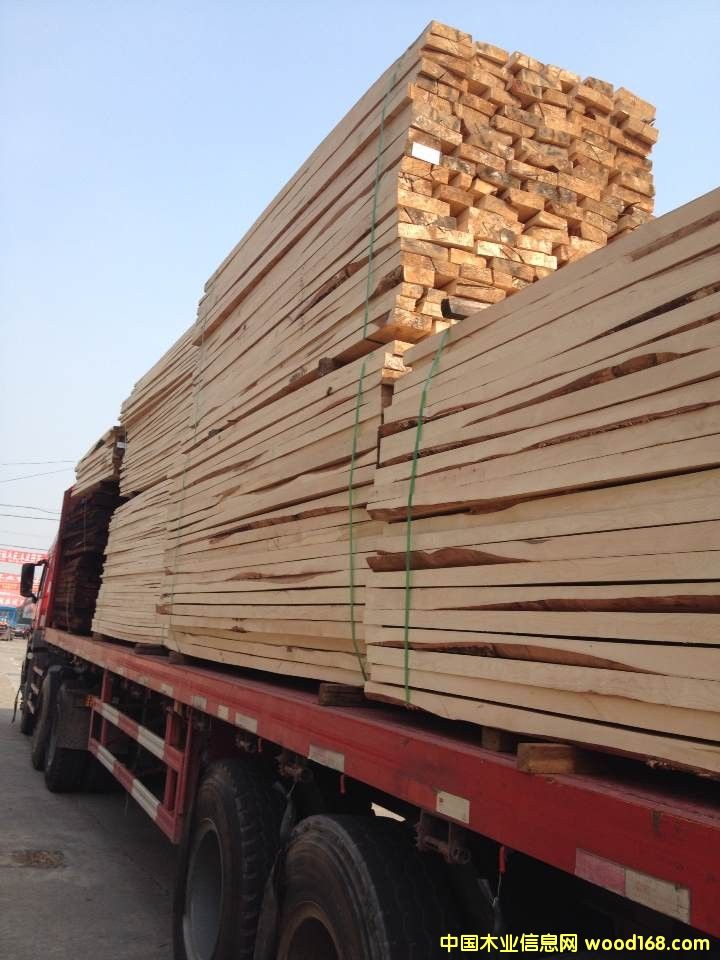 ��ľ BIRCH-��Ó�S��