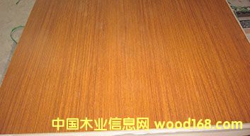 E1��(j��)̩���������Ԕ��(x��)��B