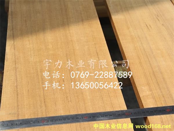 ��ľ��̌���