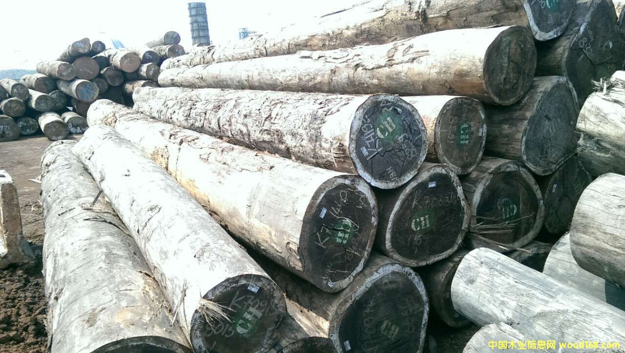 �t�����Ԕ����B