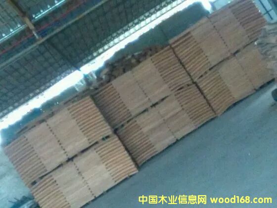 �c���鿴��ľ�ΰ�Ŵ�DƬ