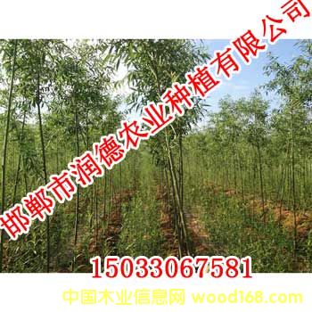 �c���鿴����1�Ŵ�DƬ