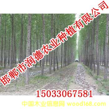 �c���鿴����Ŵ�DƬ