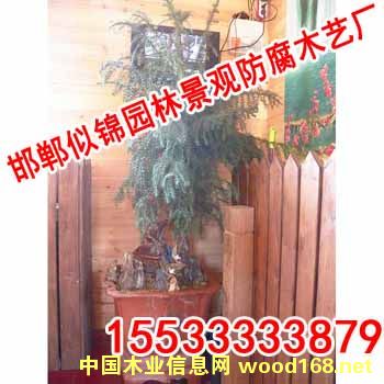 ����ľ���������Ԕ����B