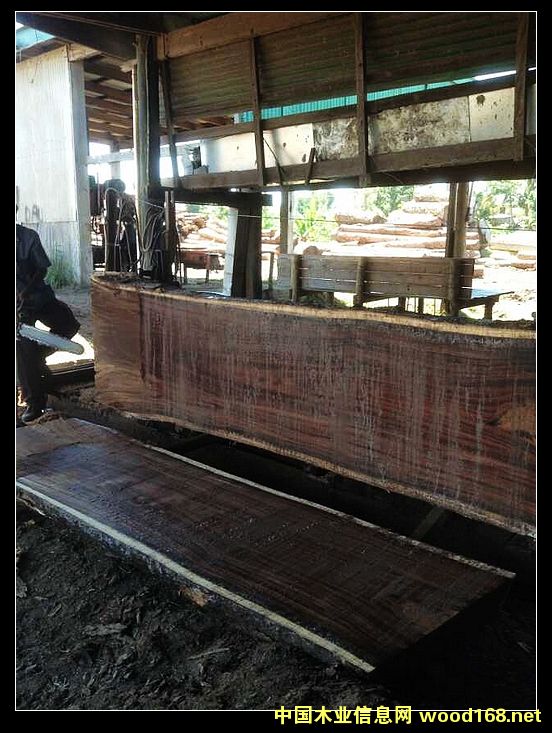 �ں��ҵ�Ԕ����B