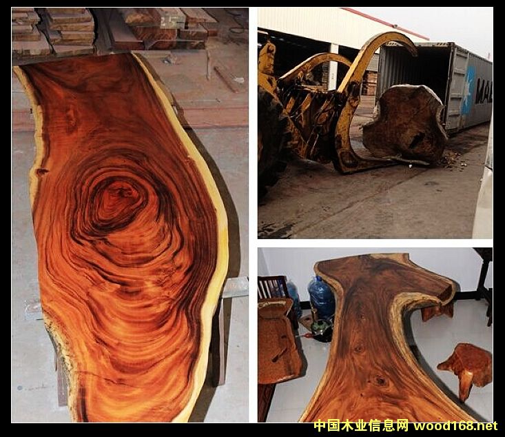 �ں��ҵ�Ԕ����B