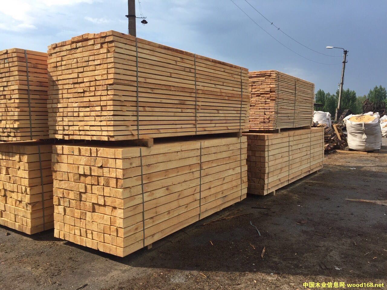 �����m������ľ����Ԕ����B