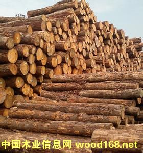 ݗ����ԭľ��Ԕ����B