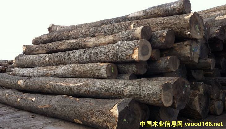 ˮ����ԭľ ���NҎ���Rȫ