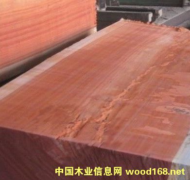 ����t��֦ԭľ���NҎ(gu��)���Rȫ