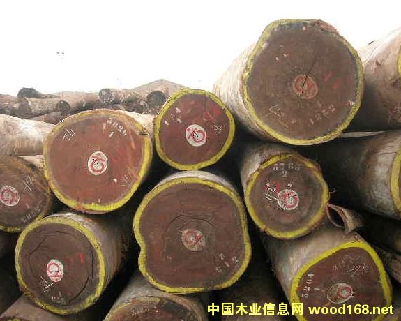 ������ľԭľ