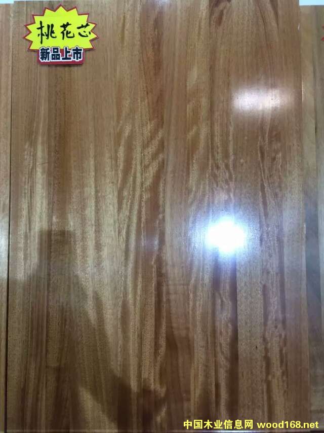 �һ�оֱƴ��ָ�Ӱ�