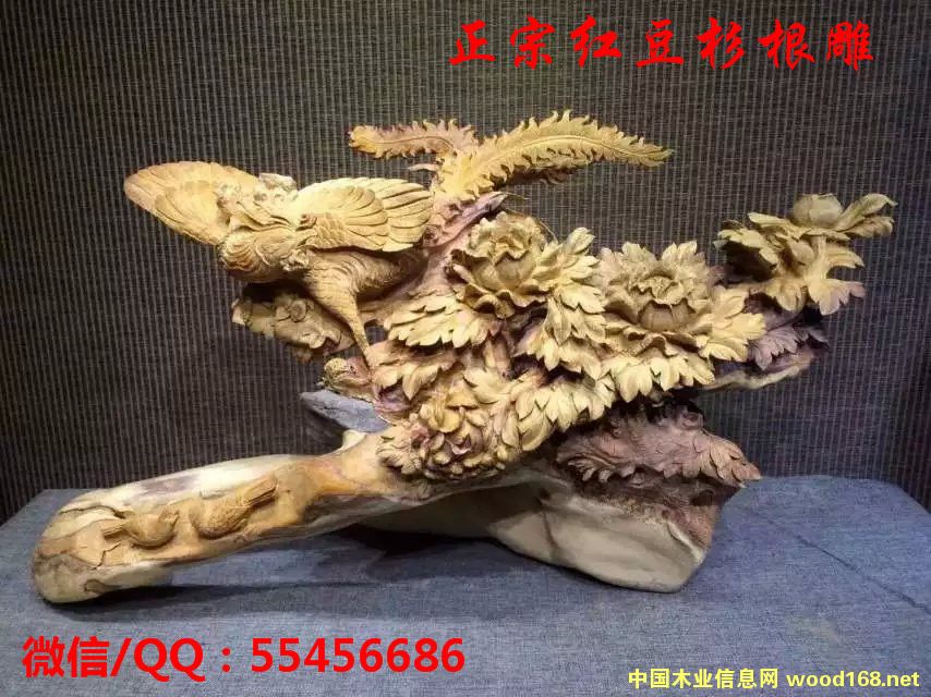 �t��ɼ����[��