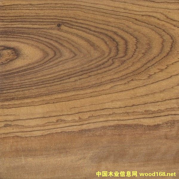 ������ϙ�ľ