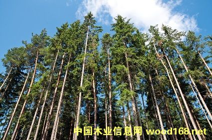 PEFC�J(r��n)�C��(du��)���m�֘I(y��)Ӱ����h(yu��n)