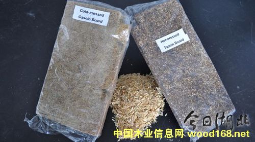 �����ٻ��壺����(j��ng)��(j��)���h(hu��n)�����־�