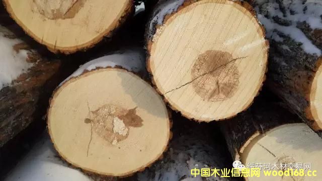 �c���鿴�羳��ُ���W���ľ�U�P���Ԕ���Y��