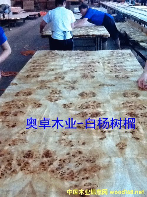 �ח�����b����