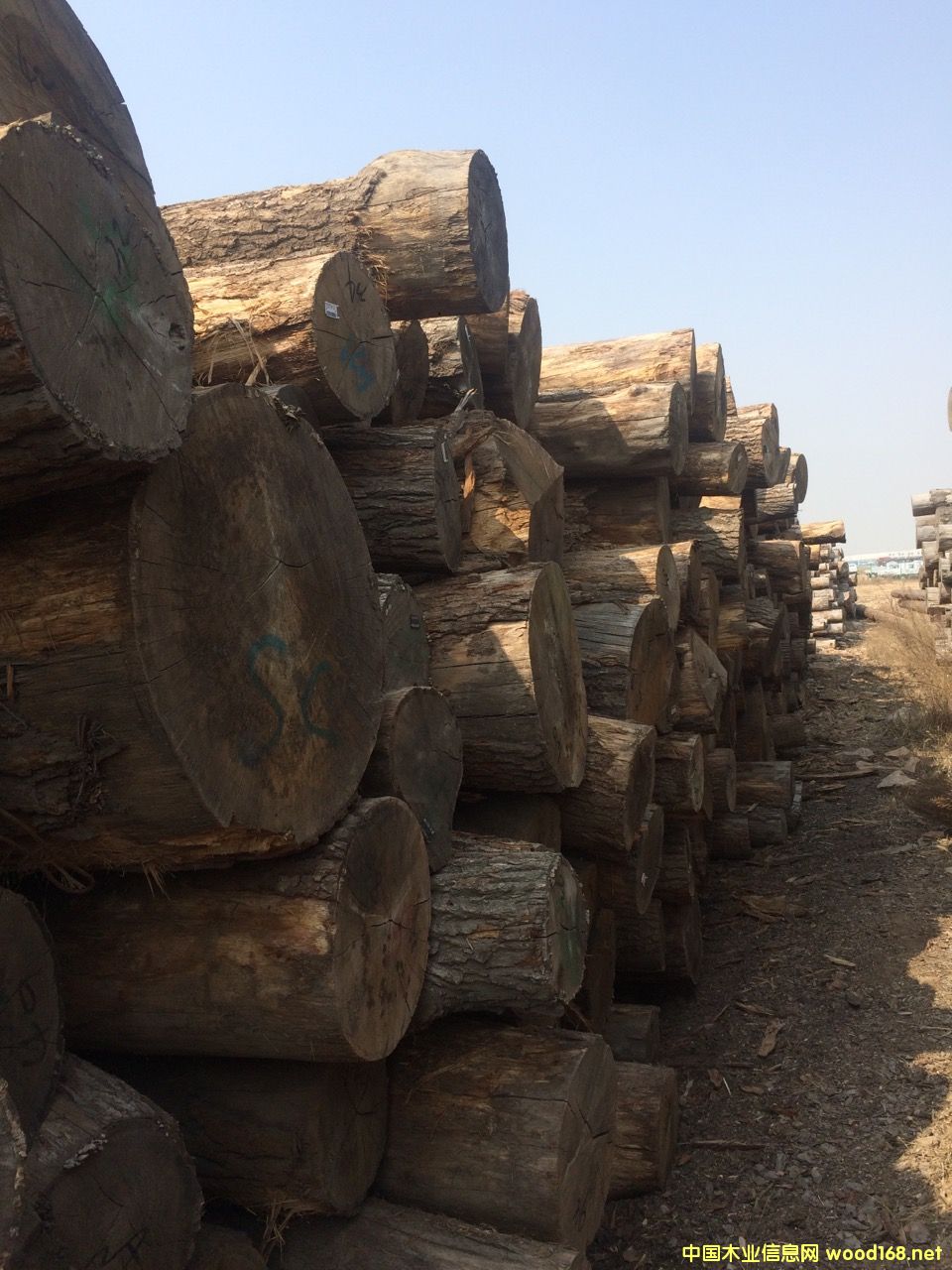 �M��ԭľ��Ԕ����B