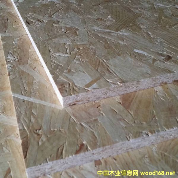 �c���鿴ɭ���W�ɰ�Ŵ�DƬ