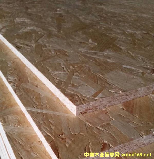 �c���鿴ɭ���W�ɰ�Ŵ�DƬ