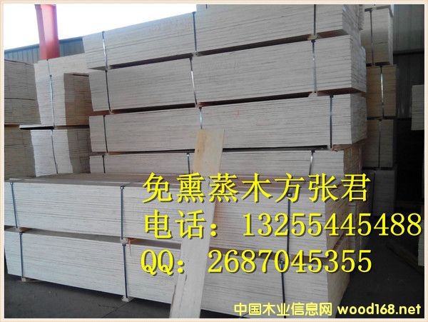 �c���鿴��Ѭ��ľ���Ŵ�DƬ