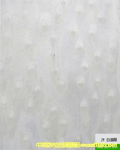 ��؈�۵�Ԕ����B